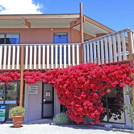Picton Campervan Park Экстерьер фото